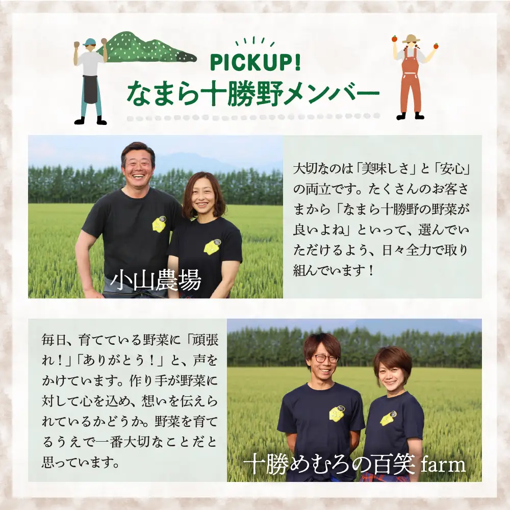 【先行受付】【2026年8月より発送】北海道十勝芽室町 なまら十勝野の季節のおまかせ野菜セット（夏） me001-009c 詰合せ 旬 食品 グルメ 送料無料 冷蔵発送 北海道 十勝 芽室町