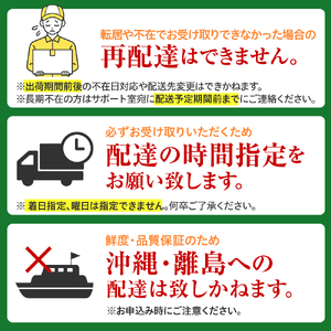 とうもろこし イエロー種10本 ホワイト種10本 北海道 芽室町