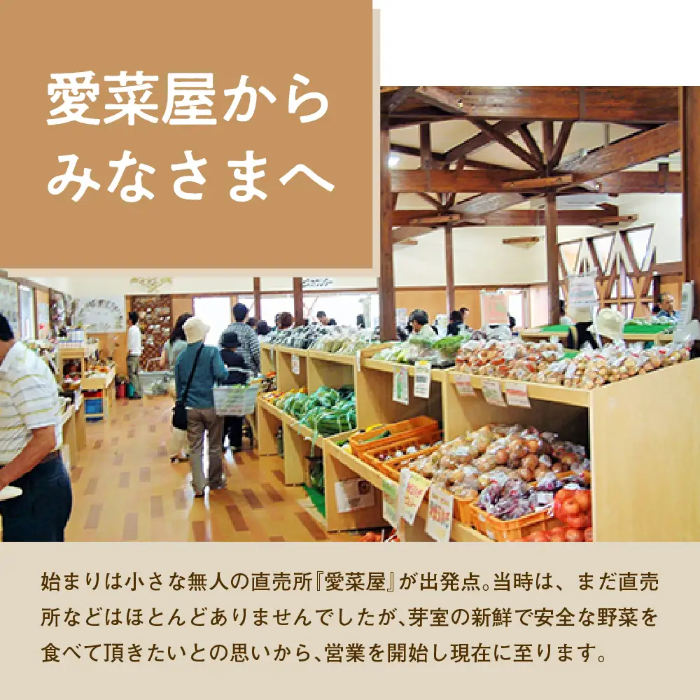 【先行受付】【2026年9月下旬より配送予定】北海道十勝芽室町 じゃがいも きたあかり 5kg ジャガイモ ポテト 芋 いも おいも フライドポテト コロッケ ポテトサラダ じゃがバター 産地直送 新鮮 農協 チーズ 美味しさに 訳あり me002-003-26c