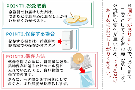 【先行予約】旬の梨 約3kg 梨