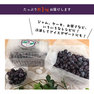 【叶え屋】 上毛町産 ブルーベリー 生果実 500g×2パック_K01401