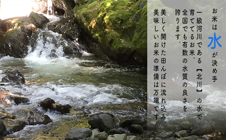 【3ヶ月連続】令和8年産福井県若狭町コシヒカリ（一等米）10kg（山心ファーム） お米 福井県産 甘い