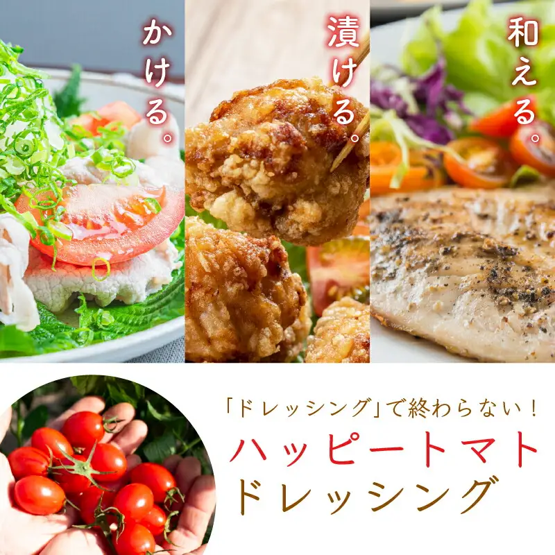 ハッピートマトAセット｜トマトトマトトマト
