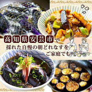 朝採れナス 約1.5kg 高知県安芸市｜ナス