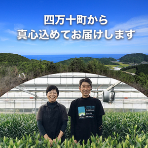 【2026年5月中旬ごろから配送開始！】朝もぎたてのスイートコーン 5本 ／Osy-A09 とうもろこし スイートコーン 新鮮 産地直送