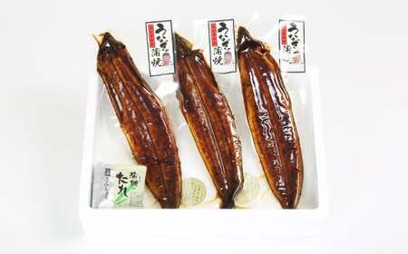 温泉うなぎ蒲焼 3尾（160gサイズ） 国産 九州 うな丼 うな重 鰻 完全無投薬 ギフト 土用の丑の日 ＜104-012＞