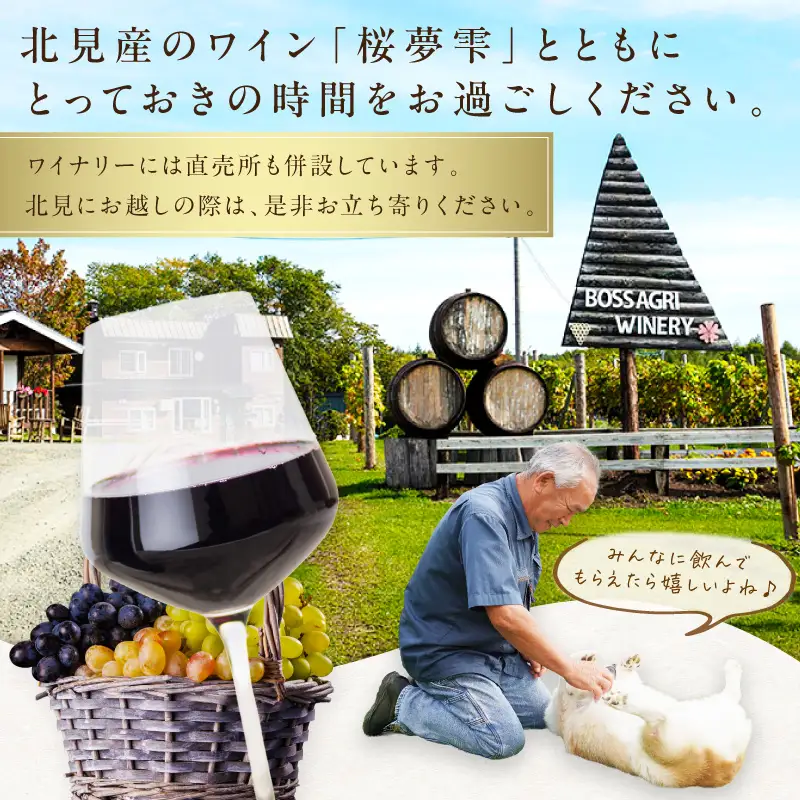 北見産ぶどう100％のワイン 桜夢雫 ( 緋色ロゼ ワイン 国産 ブドウ ロゼ 辛口 750ml )【075-0009】