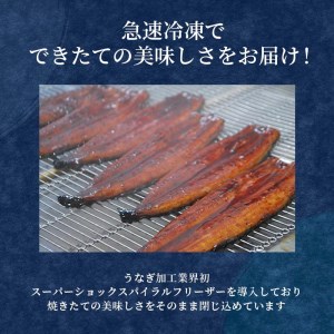 【定期便 6ヶ月】うなぎ 蒲焼 5尾 国産 うなぎ