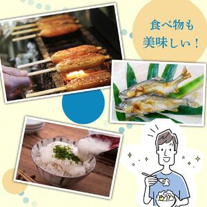 豊田市共通宿泊・飲食券「3,000円分」（500円券×6枚）
