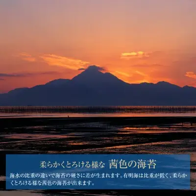 Y26-34 有明海産一番摘み 大丸ボトル味海苔 10切80枚 4本セット のり