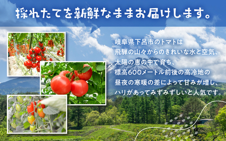 先行予約  飛騨トマト 麗月大玉 20玉 トマト【27-1】