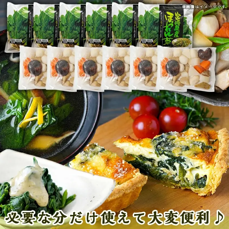 冷凍カット野菜セット〔MJ-9224〕_(都城市) カット済 冷凍野菜 大根 人参 里芋 ごぼう しいたけ ほうれん草 必要な分だけ 和風煮物・胡麻和えに最適