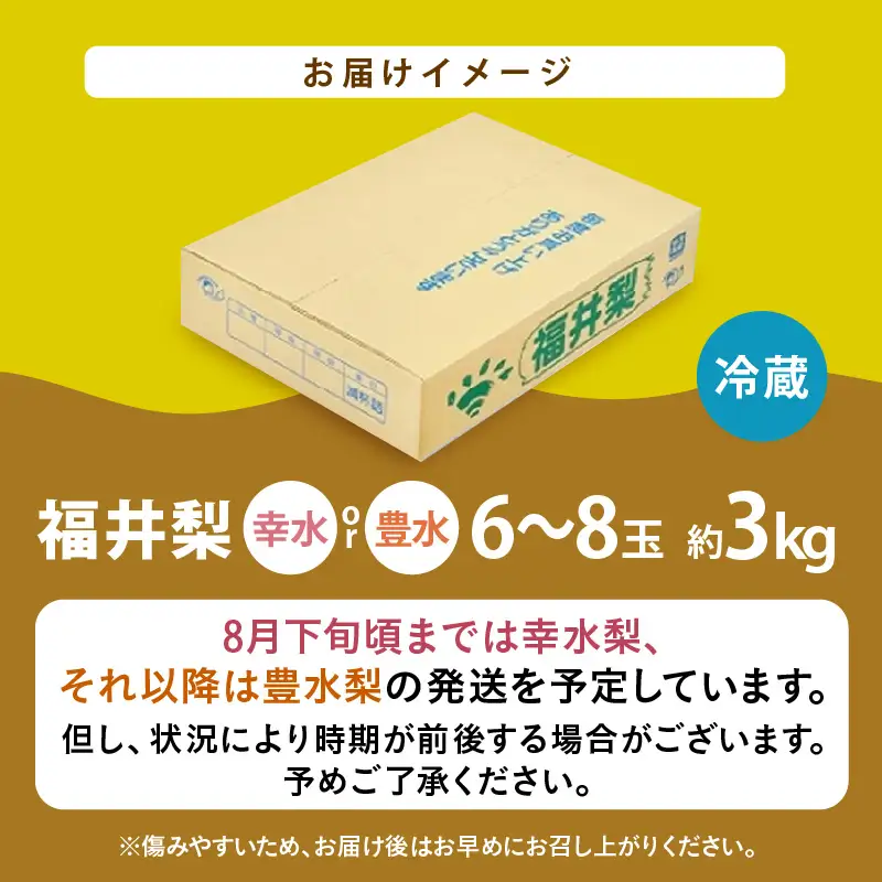 【先行予約】福井梨 3kg 6～8玉入 《幸水梨 豊水梨どちらかのお届け！》 ／ 期間限定 果物 フルーツ 産地直送 旬 お取り寄せ ※2026年8月下旬以降発送 [aw003-a009]
