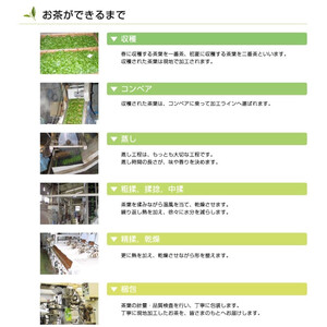 希少なお茶【高瀬茶】銘茶ティーバッグ1.5kg(300g(約70袋)×5袋)