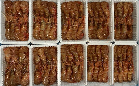 8-024-003　冷凍ボタンエビ 900g（39尾～54尾）