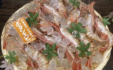 8-030-001　冷凍ボタンエビ 1kg（34尾～46尾入）