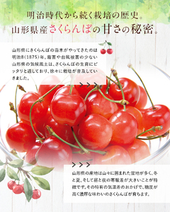 【令和8年産先行予約】 さくらんぼ 6種詰合せ 約500g (特選 木箱入り) 《令和8年6月中旬～発送》 『最上園』 サクランボ セット 食べ比べ 果物 山形県 南陽市 [681]