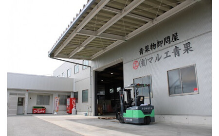 【令和8年産先行予約】 《定期便6回》 果樹王国山形 南陽のフルーツ定期便A 『マルエ青果』 果物 くだもの フルーツ 山形県 南陽市 [1105-R8]