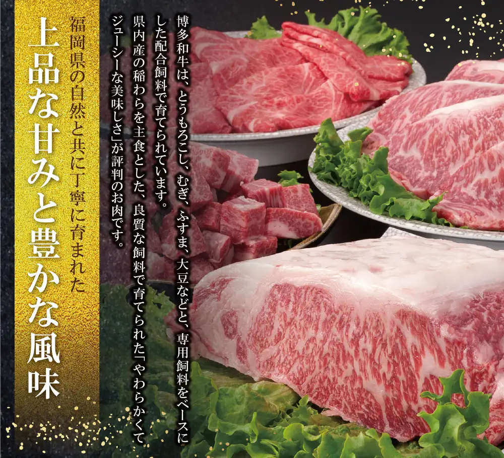 Z09-03 寄附額改定↓↓ 博多和牛 ロースサイコロステーキ用400g 牛肉