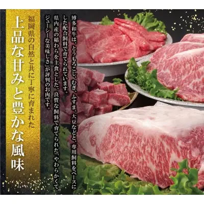 Y09-05 博多和牛 肩ロース焼肉用400g 和牛
