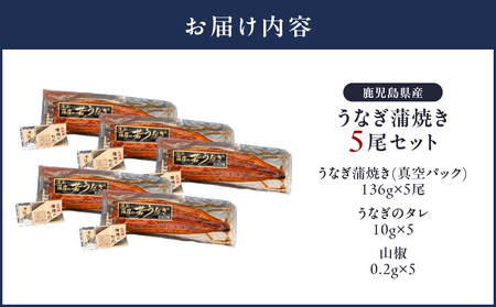 1651-1 鹿児島県産 うなぎ蒲焼き 5尾セット KN058-002-05 魚 鰻