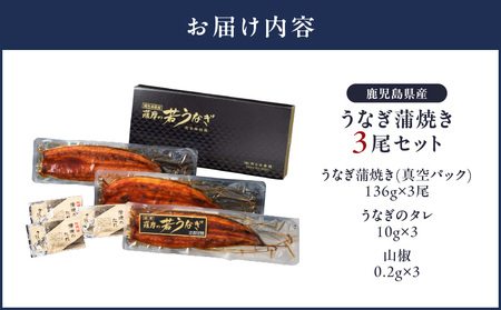 【 土用の丑の日特集 】 1653-1 鹿児島県産 うなぎ蒲焼き3尾セット KN058-002-03 魚 鰻