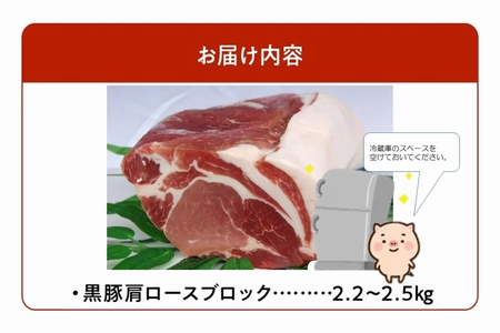 鹿児島黒豚肩ロースブロック まるごと塊のまま2.2~2.5kg 008-76【配送不可地域：離島】【1710440】