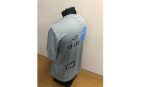 743 F-4EJ 301号機 Tシャツ（飛行開発実験団 明灰）