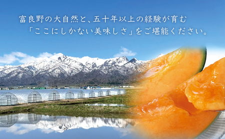 【2026年7月中旬～発送】ふらのメロン 赤肉 2玉 計3.2kg以上 北海道 富良野市 (大島農園)