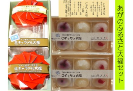 お菓子の龍宝堂 もちもち大福盛りだくさんセット 菓子 お菓子 和菓子 大福 冷凍 2B04022