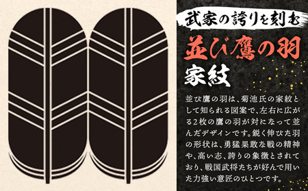 菊池武光公 Tシャツ・タオルセット 黒 XLサイズ 株式会社アイエヌ《90日以内に出荷予定(土日祝除く)》熊本県 菊池市 Tシャツ シャツ 半袖 ファッション タオル 菊池一族