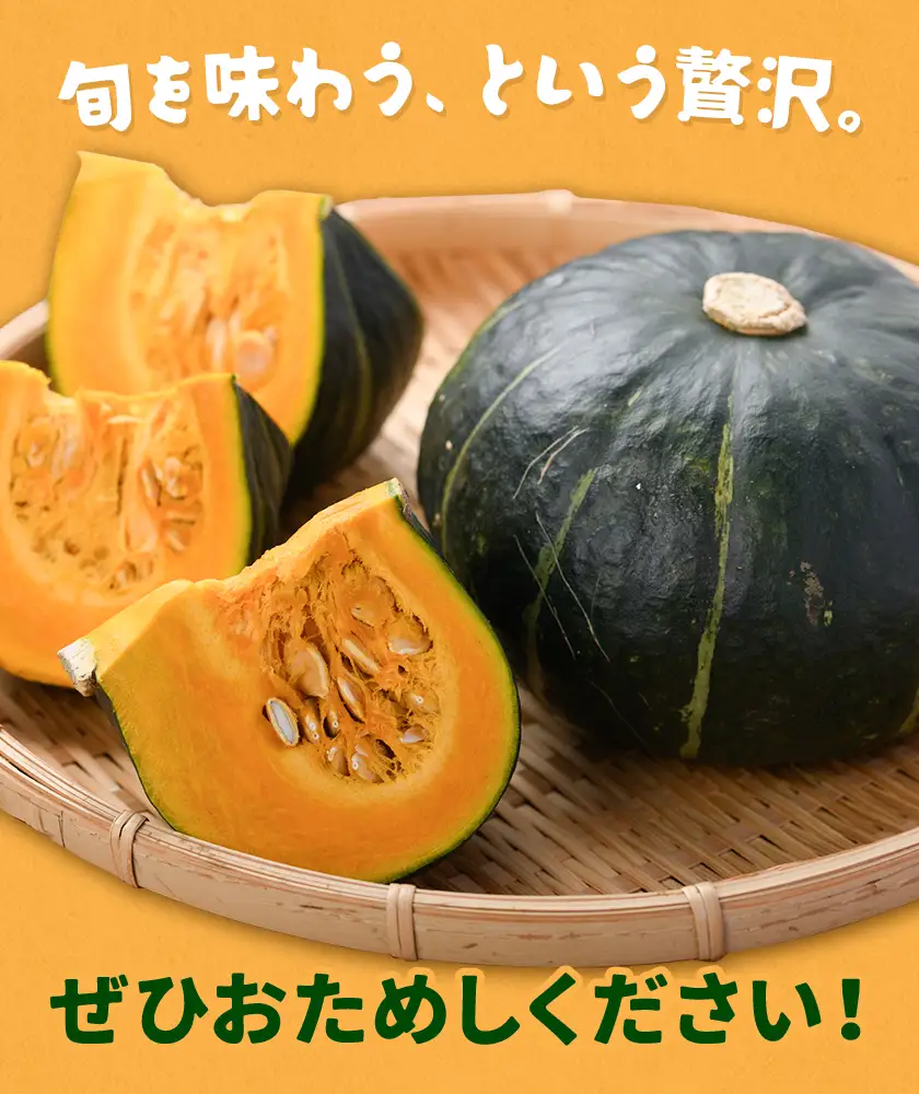 かぼちゃ 栗五郎 約10kg 小山農園《6月中旬-7月中旬頃出荷》