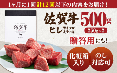 【全12回定期便】佐賀牛 ヒレサイコロステーキ(250g×2パック) HAD074 フィレ ステーキ