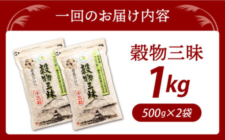 【全12回定期便】穀物三昧 500g×2袋【葦農】 HAJ024 麦ごはん 雑穀米 古代米