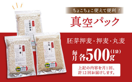 【全12回定期便】麦詰合500g×3（押ムギ・胚芽押麦・丸ムギ）【葦農】 HAJ033