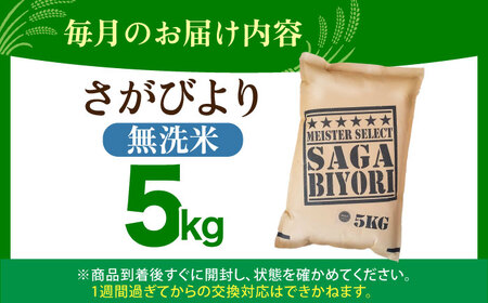 【全3回定期便】さがびより 無洗米 5kg  [HBL025] 無洗