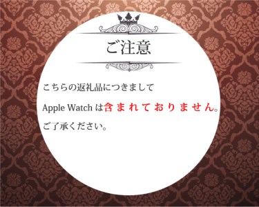 CN-004　Apple Watch専用シルバー925製バンド　ダイヤモンド0.34ct　SILVER DIAMOND