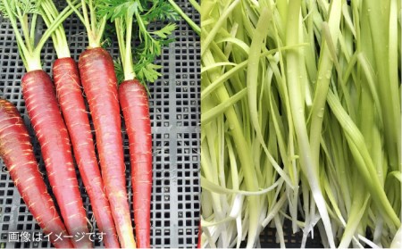  【贈答用】無農薬野菜セット＋果物（8品前後）《糸島》【オーガニックナガミツファーム】 	[AGE022]