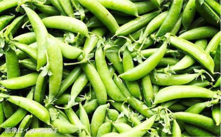 【 福岡県 糸島産 】 朝採れ 野菜 セット （ 12品 前後 ） 《糸島》【オーガニックナガミツファーム】 	[AGE023]