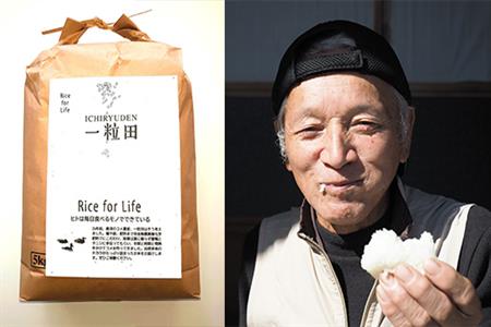 唐津産 あいがも米 5kg (白米) 一粒田 合鴨農法 無農薬 無化学肥料 コメ お米 ごはん