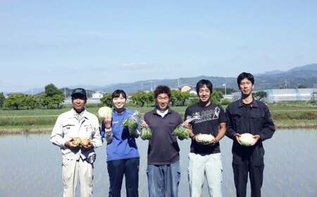 【定期便12回】旬の朝採れ土佐野菜詰め合わせ（10～13品目）詰め合わせ 野菜セット 野菜 ギフト やさいセット お取り寄せグルメ 家庭用 旬野菜 新鮮 特産 農薬不要 食材