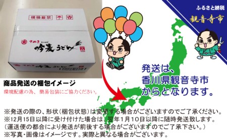 「さぬき半生」 讃岐吟麦うどん 30人前 300g×10袋 麺類 