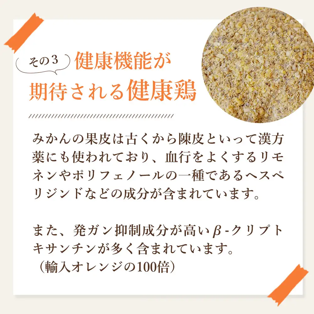 【全3回】紀の国みかん極みたまご定期便 卵 たまご 玉子 