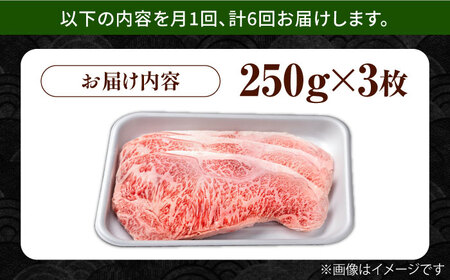【6回定期便】佐賀県産 黒毛和牛 サーロインステーキ 750g / ステーキ [IAG091]