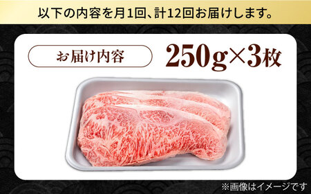【12回定期便】佐賀県産 黒毛和牛 サーロインステーキ 750g / ステーキ [IAG092]