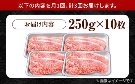 【12回定期便】佐賀県産 黒毛和牛 サーロインステーキ 1.25kg / ステーキ [IAG095]
