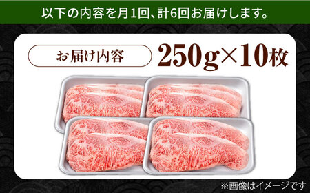 【3回定期便】佐賀県産 黒毛和牛 サーロインステーキ 2.5kg / ステーキ [IAG096]