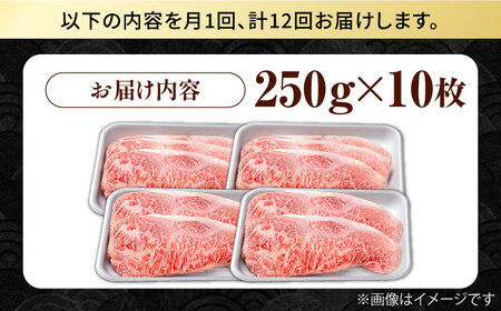 【12回定期便】佐賀県産 黒毛和牛 サーロインステーキ 2.5kg / ステーキ [IAG098]