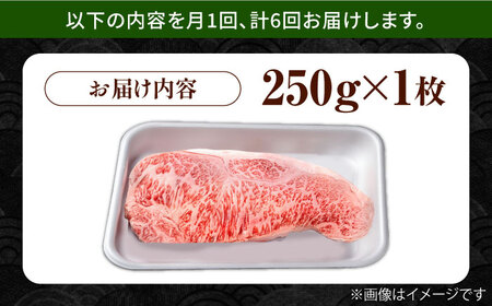 【6回定期便】佐賀県産 黒毛和牛 サーロインステーキ 250g / ステーキ [IAG085]