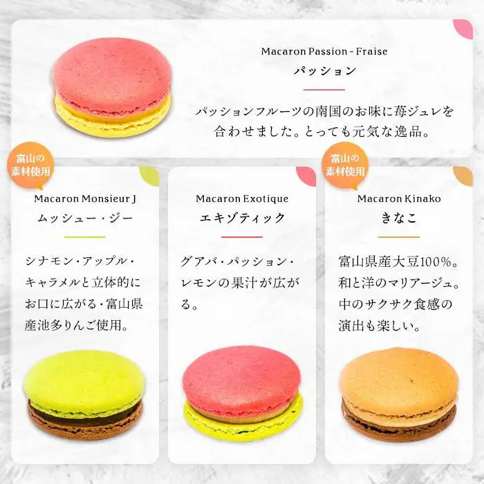 フランス人パティシエ手作り人気マカロン10個セット